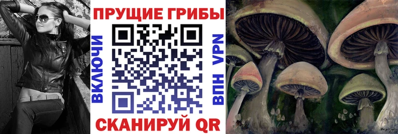 Псилоцибиновые грибы Cubensis  Лермонтов 